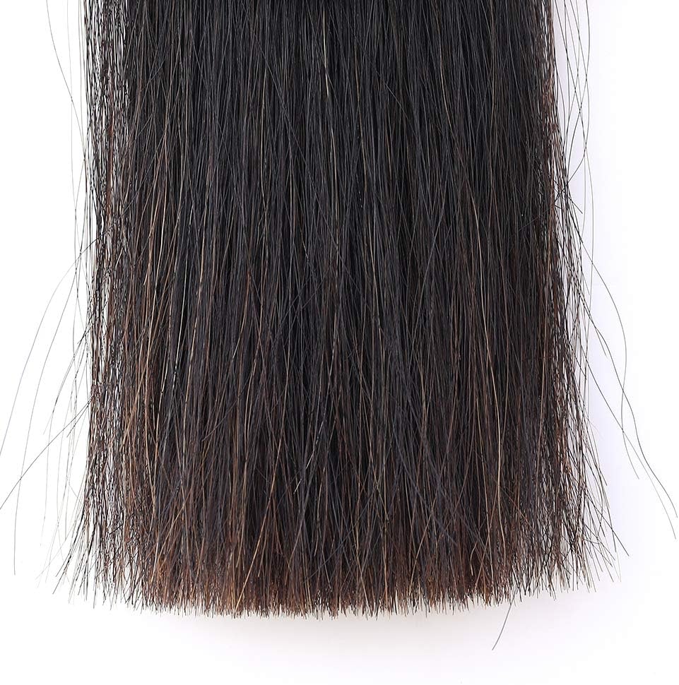 Horse Tail Extensions with Braided Horsehair Loop, Blunt Cut Bottom, 34-36 inches Long and 1 lb Weight (Natural Black)
