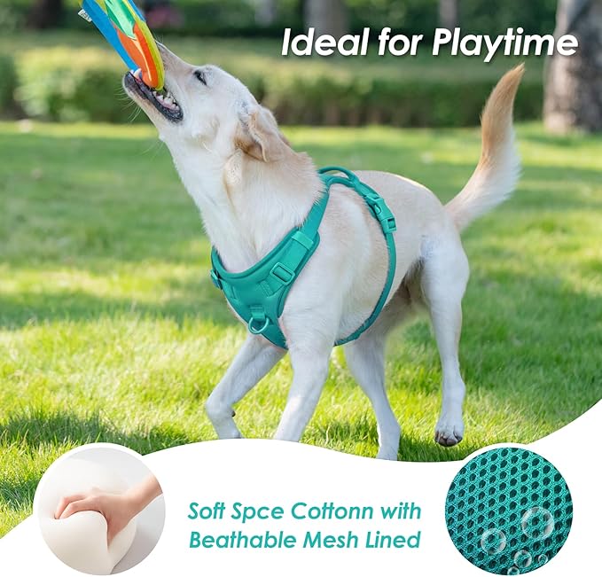 No Pull Dog Harness, Puppy Vest with Front Clip for Small Medium Large Sized Dog(MARRS Green,M)