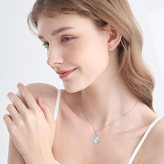 JUSTKIDSTOY Dog/Cat/Hummingbird Urn Necklace for Ashes S925 Sterling Silver Heart Cremation Jewelry Keepsake Memorial for Women