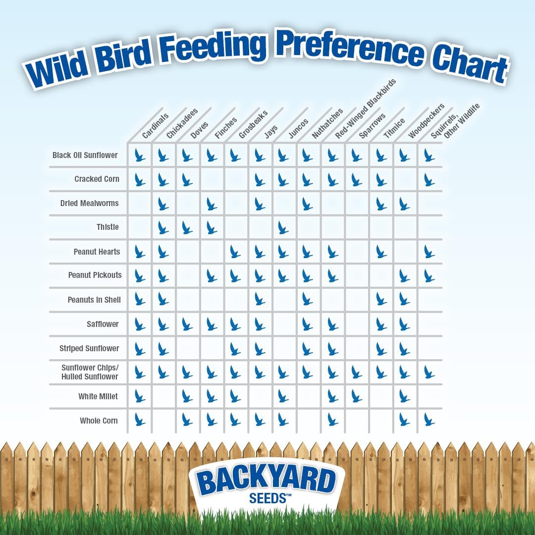 Nyjer Thistle Seed (3)