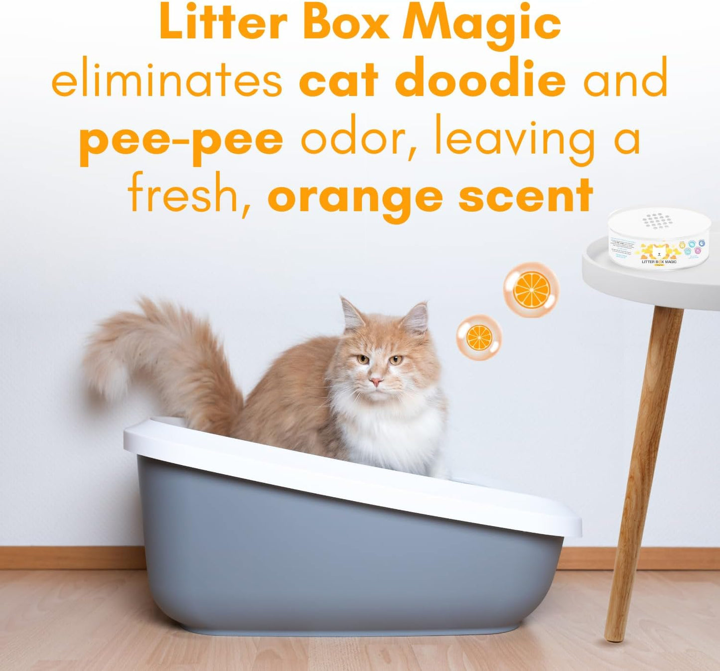 Cat Litter Deodorizer Jar (Orange Scent, 16 Oz, Pack of 1) - Cat Litter Odor Control Gel In A Jar - Cat Litter Box Pet Air Freshener - Litter Odor Eliminator to Freshen Air