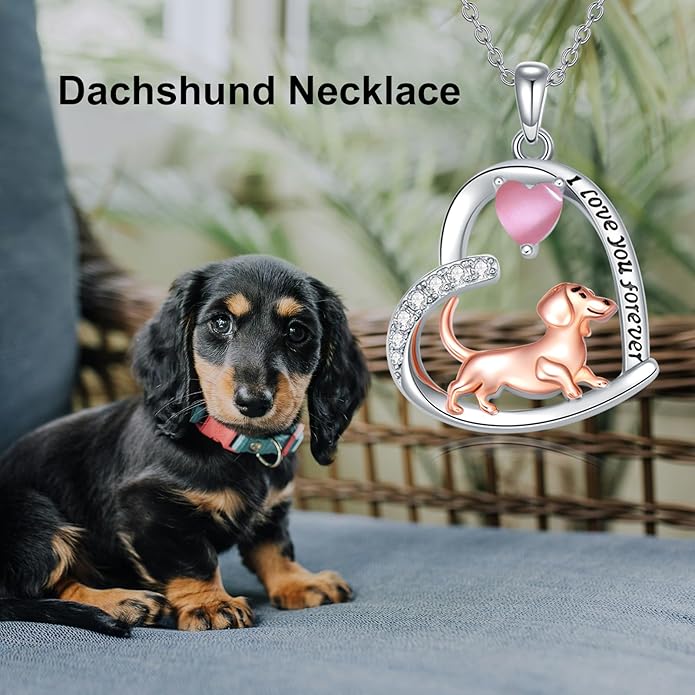 Dachshund Necklace 925 Sterling Silver Dachshund Birthstone Pendant Cute Animal Puppy Dog Dachshund Jewelry Gifts for Women Dachshund Lover