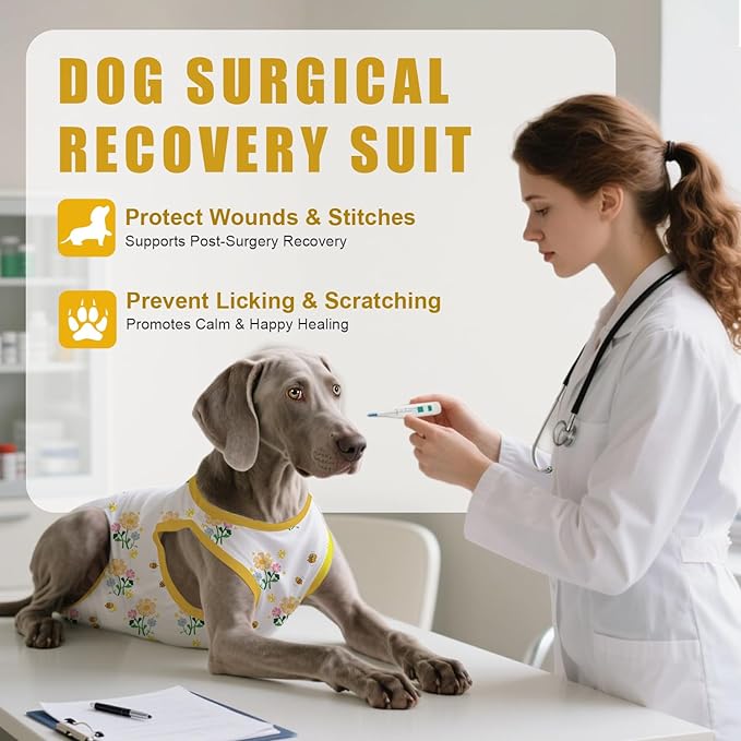 Recovery Suit for Dogs After Surgery, Professional Dog Surgical Suit for Female Spay, Male Neuter, E-Collar & Cone Alternative Dog Onesie for Abdominal Wounds Skin Disease, Yellow, M