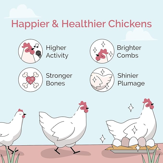 Organic Chicken Feed – Layer Mash, Non-GMO, USA Grown, 16% Protein, Corn-Free, Soy-Free, Non-Medicated Feed for Chickens, 46 lbs