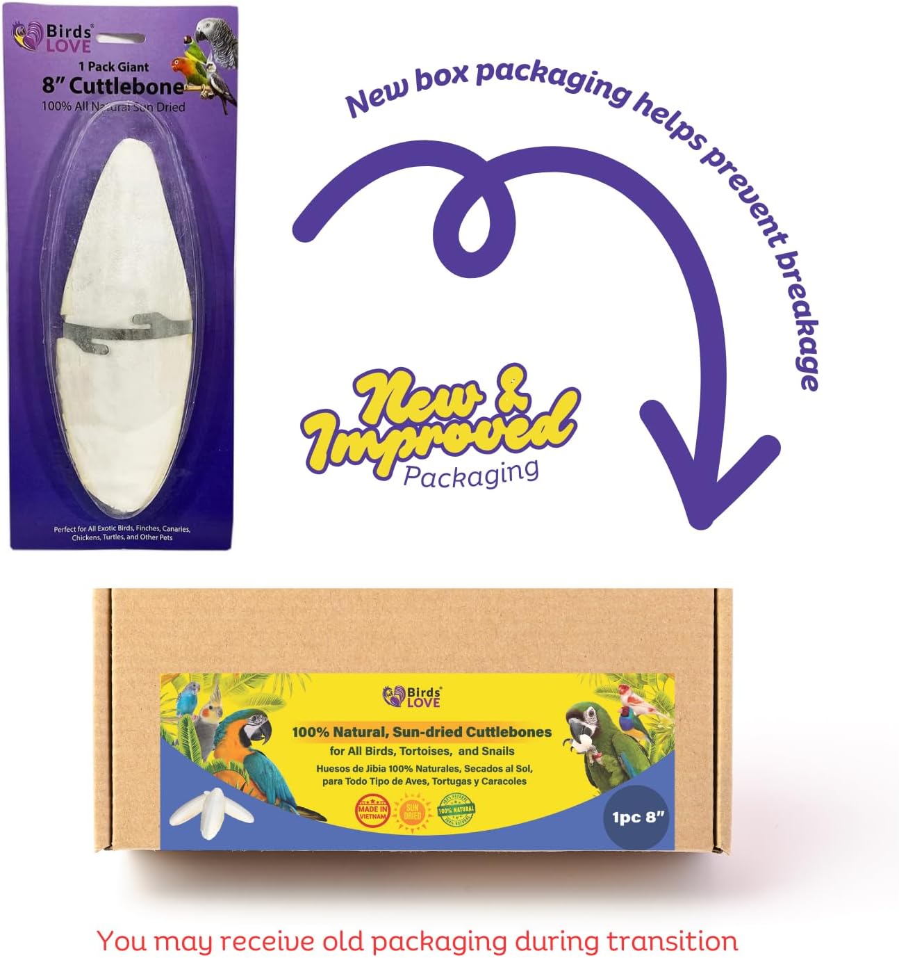 Birds LOVE 7.5" to 8" Natural Cuttlebone for Birds, Tortoises, Snails & Crabs (1 Pack) – 100% Pure Sun-Dried Cuddlebone Calcium Supplement to Support Beak & Shell Health
