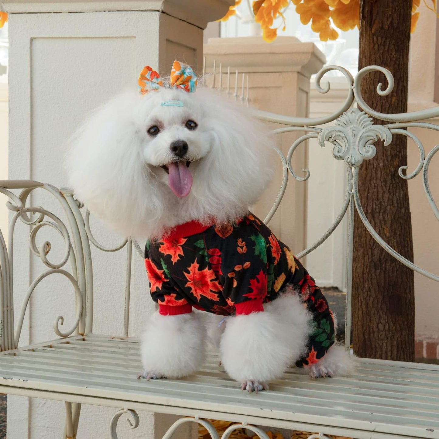 CuteBone Dog Halloween Pajamas Puppy Onesies Small Dogs Soft Pjs Coat Cat Apparel Comfy Pet Christmas Clothes Outfit Doggie Bodysuit P265M