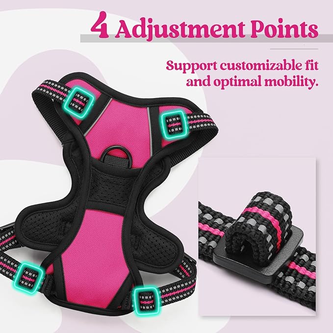 rabbitgoo Dog Harness No Pull with 2 Leash Clips, Adjustable Soft Padded, Reflective Oxford No Choke Pet Vest with Easy Control Handle for Puppy, Hot Pink, XS