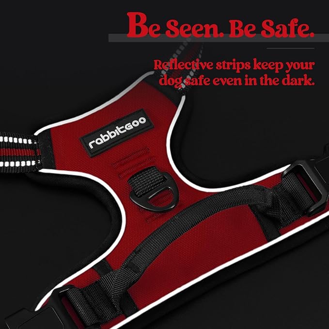 rabbitgoo Dog Harness, No-Pull Pet Harness with 2 Leash Clips, Adjustable Soft Padded Dog Vest, Reflective No-Choke Pet Oxford Vest with Easy Control Handle for Large Dogs, Red, L