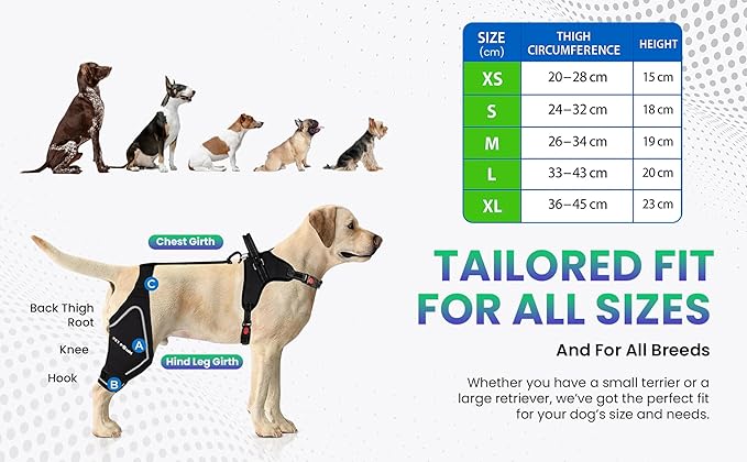 Comfortable Dog Knee Brace for Both Hind Legs with Harness - for ACL Tear, Luxating Patellae, Osteoarthritis & Instability - for Recovery & Injury Prevention in Active/Aging Dogs - (Medium)