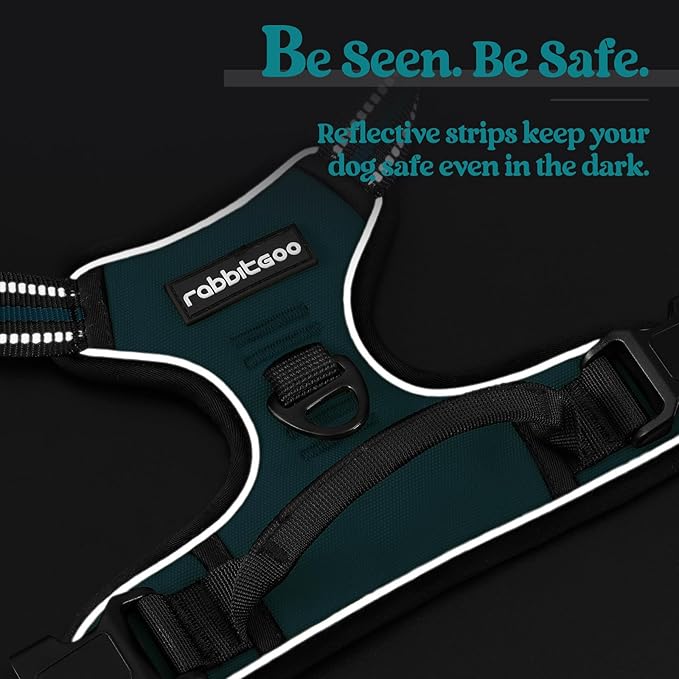 rabbitgoo Dog Harness No Pull with 2 Leash Clips, Adjustable Soft Padded, Reflective Oxford No Choke Pet Vest with Easy Control Handle for Large Dogs, Blue Coral, XL