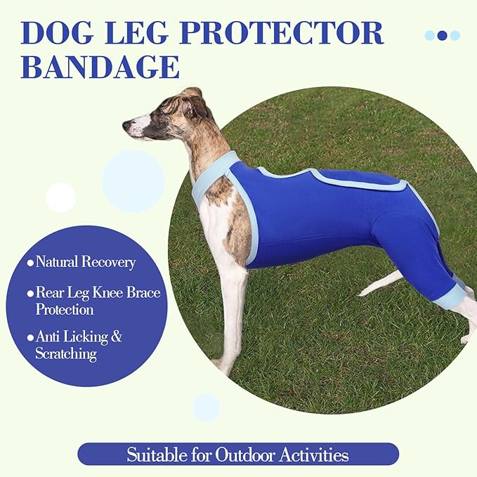ROZKITCH Dog Surgery Leg Sleeve Rear Legs, Male Female Pet Prevent Licking Wound Elbow Knee Protector, Dog Recovery Suit Cone Collar Alternative Pants Shirt for Wound Heal Wrap Blue M