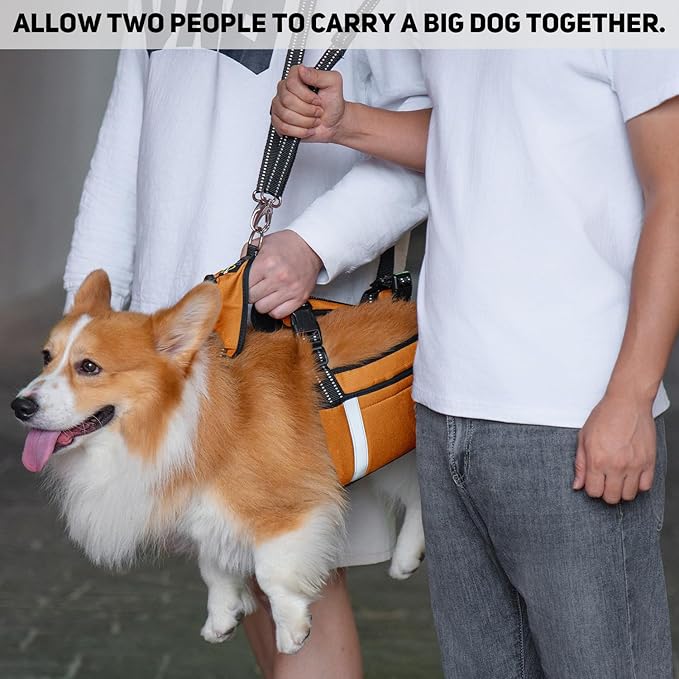 COODEO Mobility Dog Lift Harness, Emergency Carry Sling, Pet Rear Leg Support Rehabilitation Lifts Vest, Dog Carrier for Senior Dogs Joint Injuries, Arthritis (Orange, L)