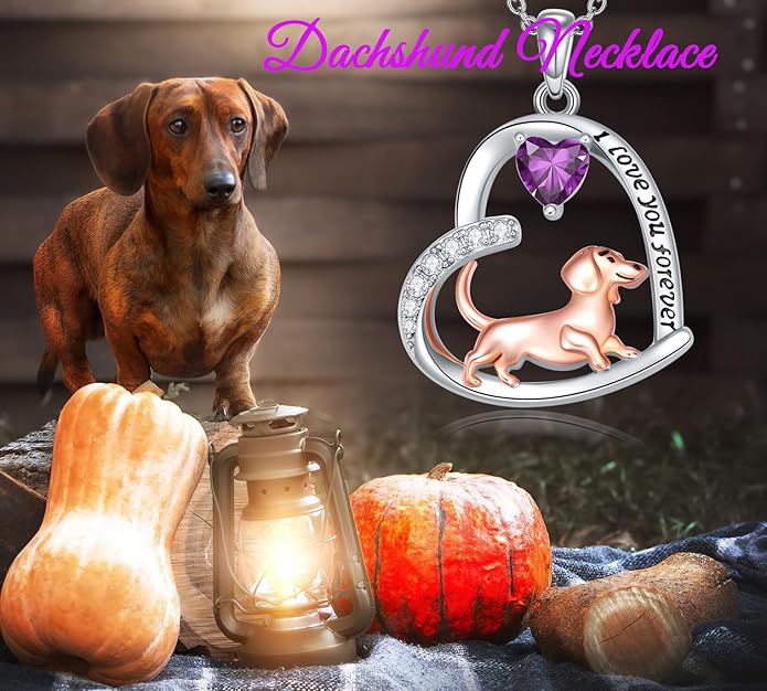 Dachshund Necklace 925 Sterling Silver Dachshund Birthstone Pendant Cute Animal Puppy Dog Dachshund Jewelry Gifts for Women Dachshund Lover