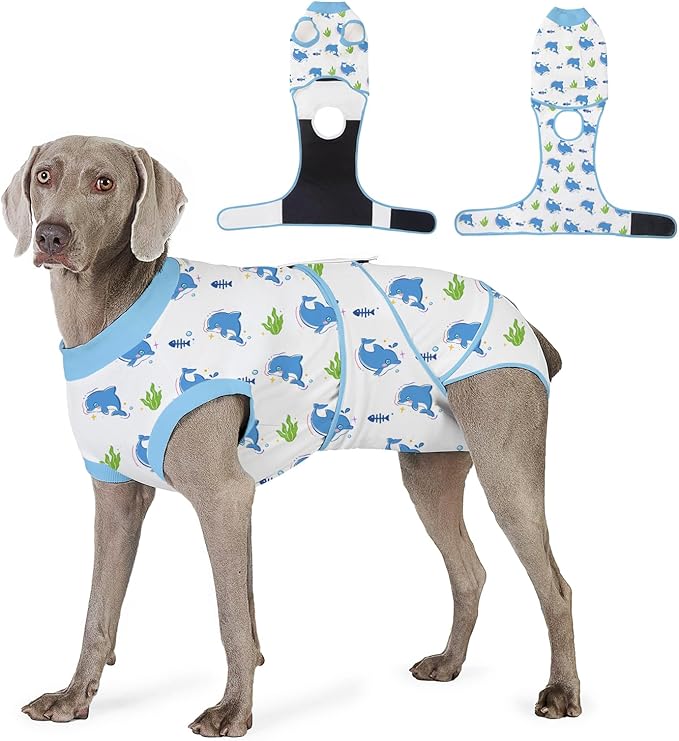 Recovery Suit for Dogs After Surgery, Professional Dog Surgical Suit for Female Spay, Male Neuter, E-Collar & Cone Alternative Dog Onesie for Abdominal Wounds Skin Disease, Blue, M