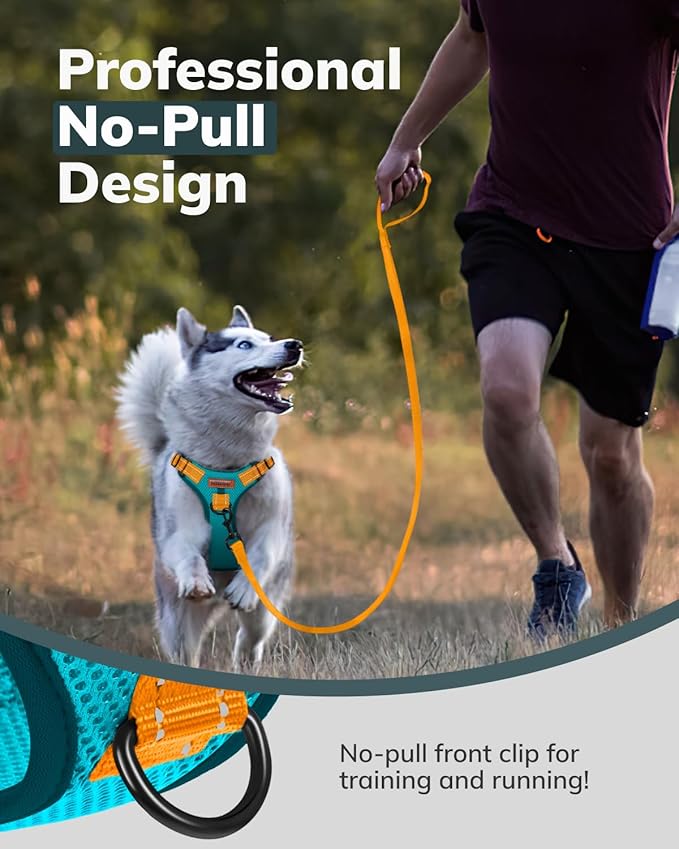 MIDOG No-Pull Dog Harness | Adjustable & Reflective Pet Harness Leash Set for Small Medium Large Dogs Walking, Training| No Choke, Front Clip, Soft Padded Vest with Easy Control Handle - Blue, M