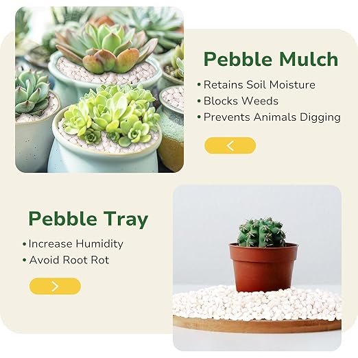 GreatBuddy 2.5-lb Decorative Rocks for Indoor Plants, 3/8" White Pebbles, Small Rocks for Potted Plants, Succulent, Vases, Aquariums, Fish Tanks, Garden Landscaping, Natural Polished