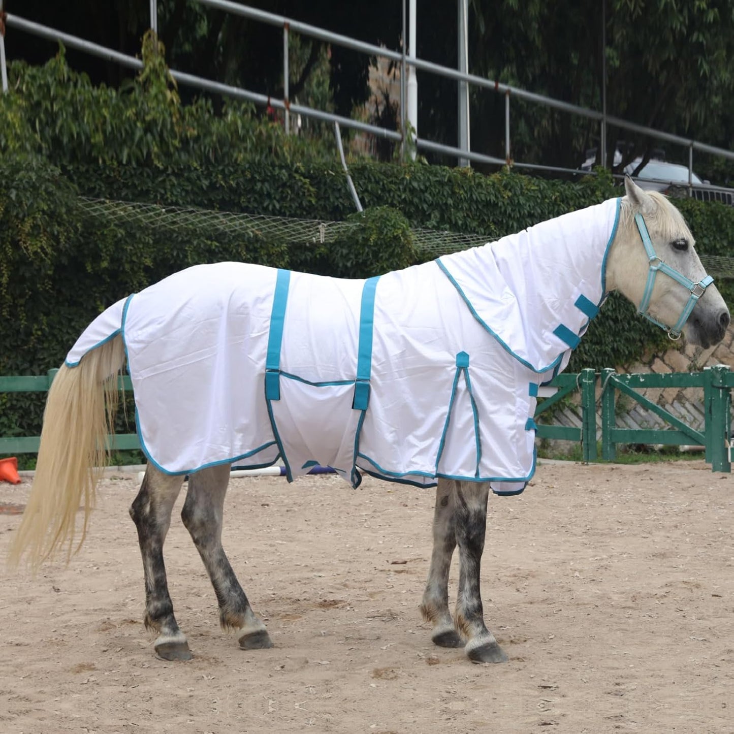 Horse Fly Sheet with Detachable Neck Cover & Belly Wrap, Adjustable Fly Sheet for Horses, Ventilated Airflow Mesh Equine Cooling Summer Flysheet White 66