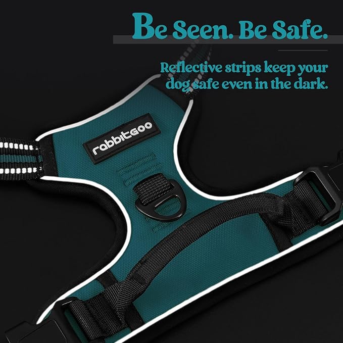 rabbitgoo Dog Harness No Pull with 2 Leash Clips, Adjustable Soft Padded, Reflective Oxford No Choke Pet Vest with Easy Control Handle for Medium Sized Dogs, Teal, M