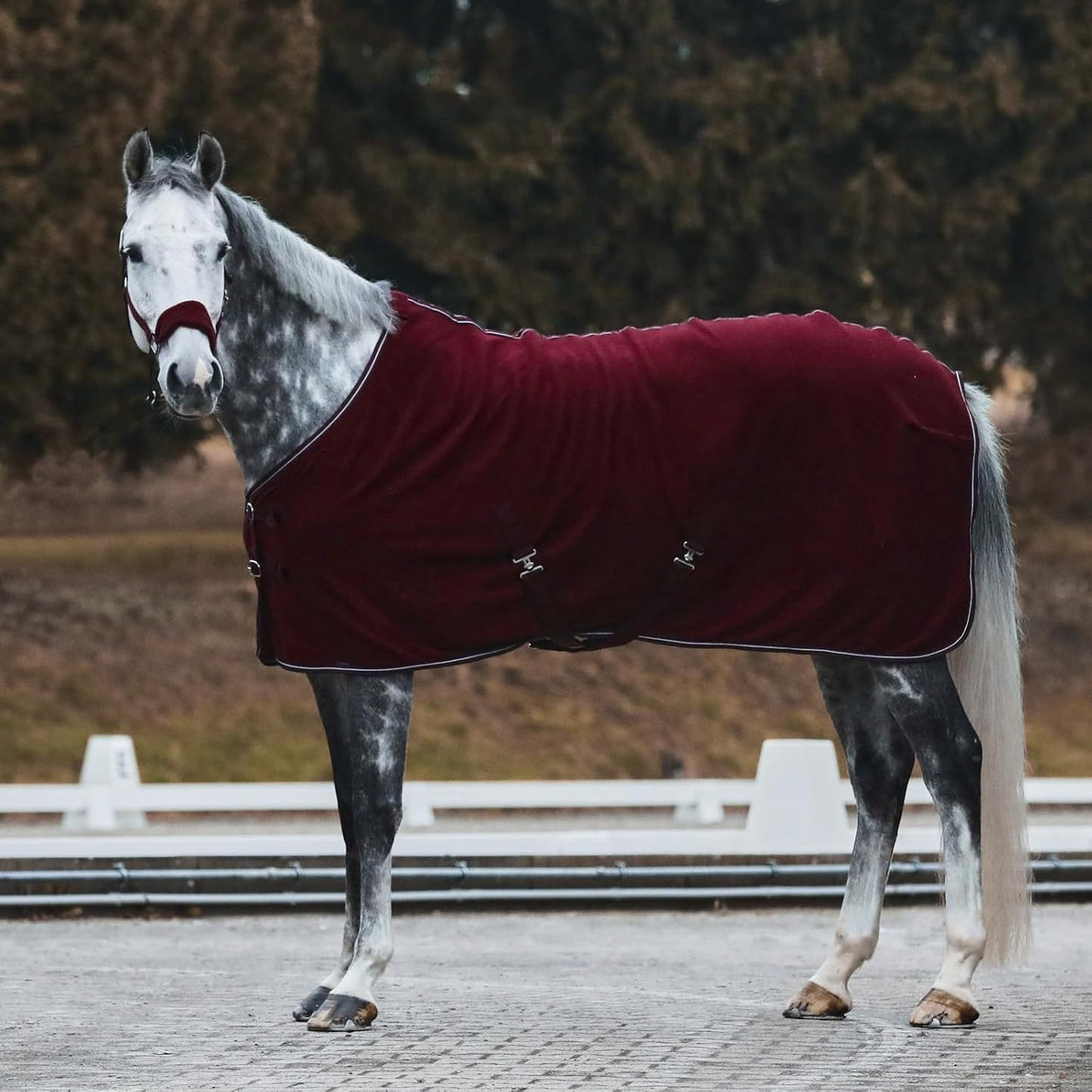 HORZE Kiel Adjustable Horse Halter with Fleece Padding - Dark Red - Warmblood