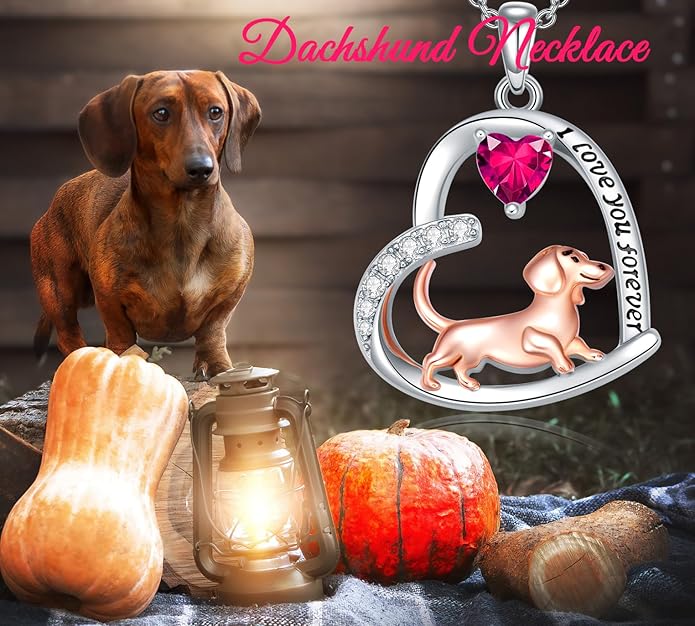 Dachshund Necklace 925 Sterling Silver Dachshund Birthstone Pendant Cute Animal Puppy Dog Dachshund Jewelry Gifts for Women Dachshund Lover