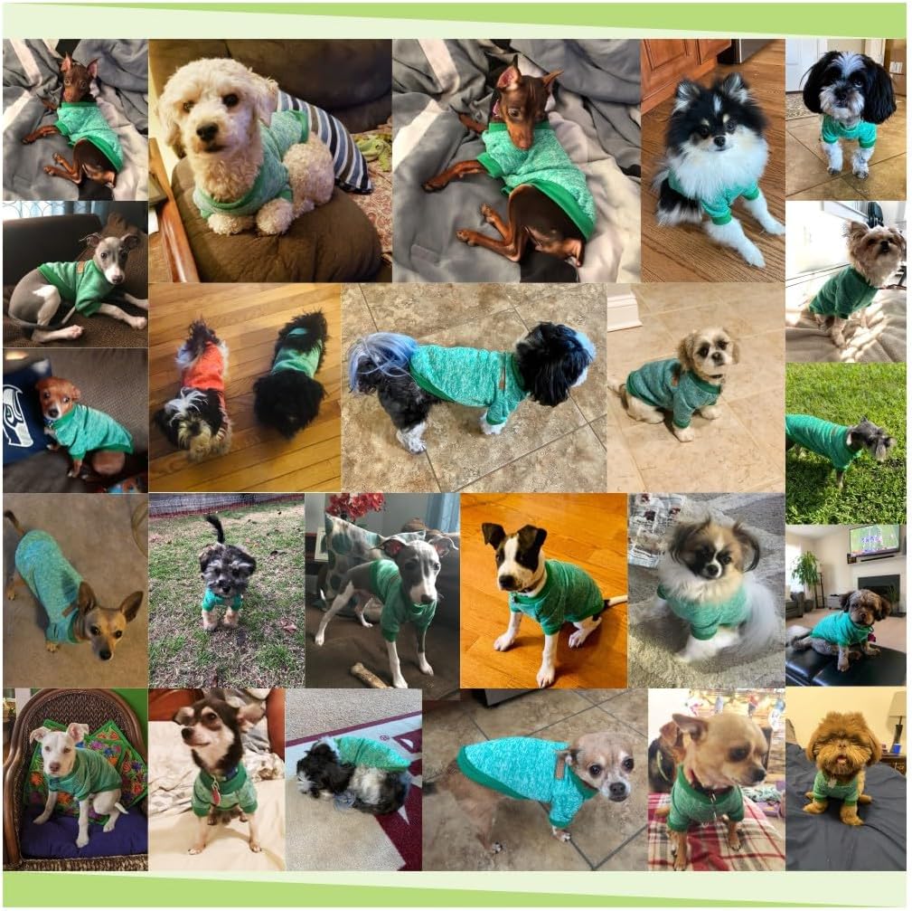 Jecikelon Dog Clothes Dogs Sweater Soft Puppies Clothing Winter Puppy Sweaters Warm Outfit for Dogs Small XXS XS Cat Apparel (Green, XXS)