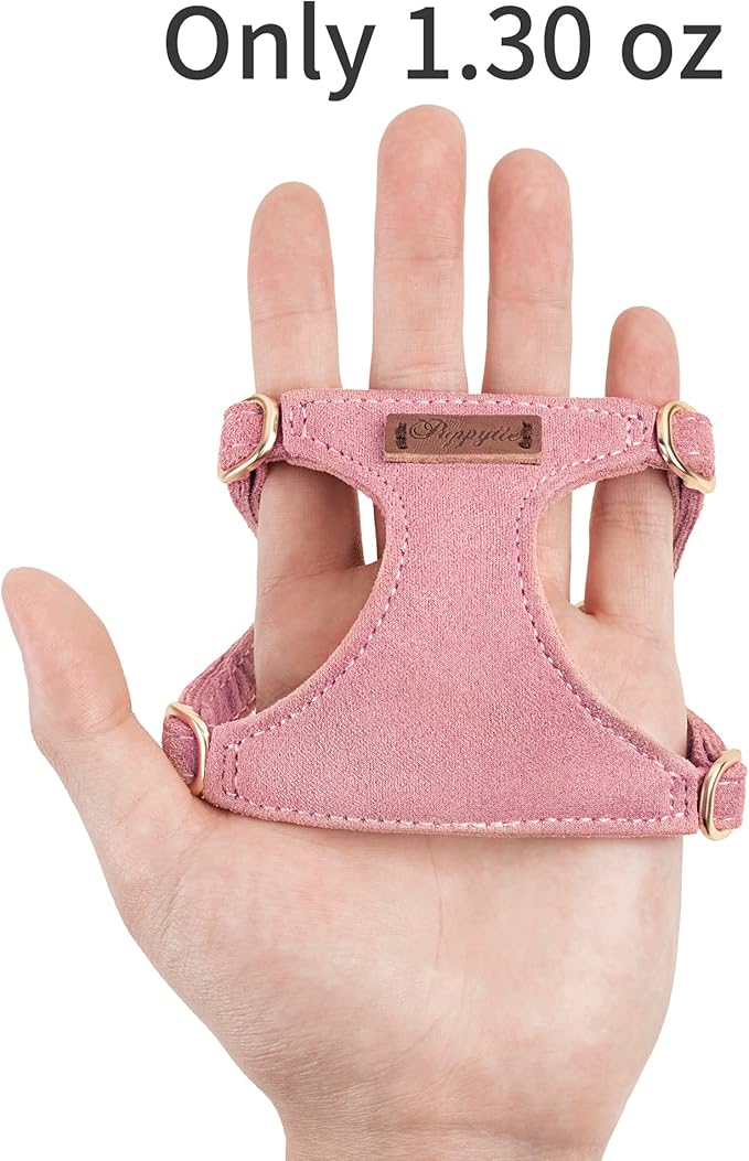 Puppytie No Pull xs Dog Harness with Multifunction Dog Leash,Soft Adjustable No Choke Escape Proof Pet Harness Vest,Navy,XS