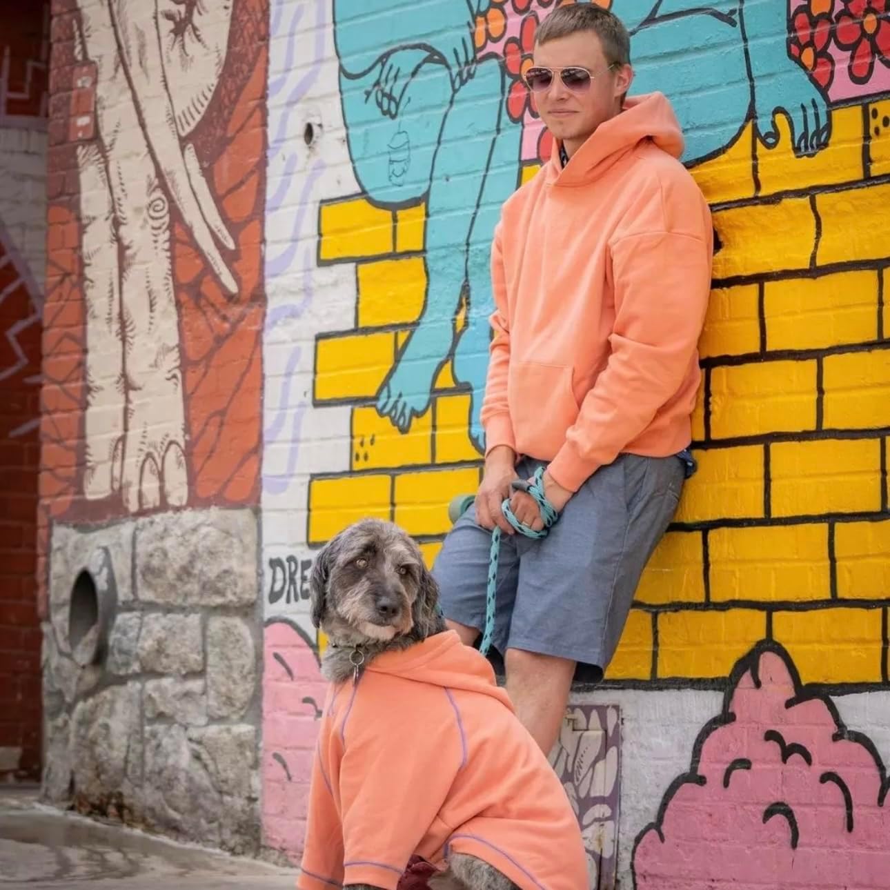 Blueberry Pet Essentials Dog Hoodie – 22 inch, Cotton‑Blend Sweatshirt with Hood, Coral, Machine‑Washable Small‑Dog Jersey