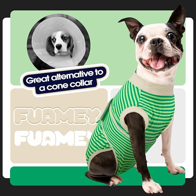 FUAMEY Dog Recovery Suit Male,Dogs Surgery Neuter Suits Puppy Spay Shirts for Female Protect Dog's Skin Anti Licking Abdominal Wounds Doggie Onesie Pet Bodysuit Alternative to Cone Green Stripes S