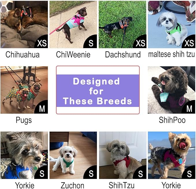 Comfort Fit Dog Harness – Adjustable No-Pull Vest for Small, Medium & Large Dogs – Soft Padded Step-in Design for Easy Control – Ideal for Walking, Running & Training – All-Weather Premium Dog Vest