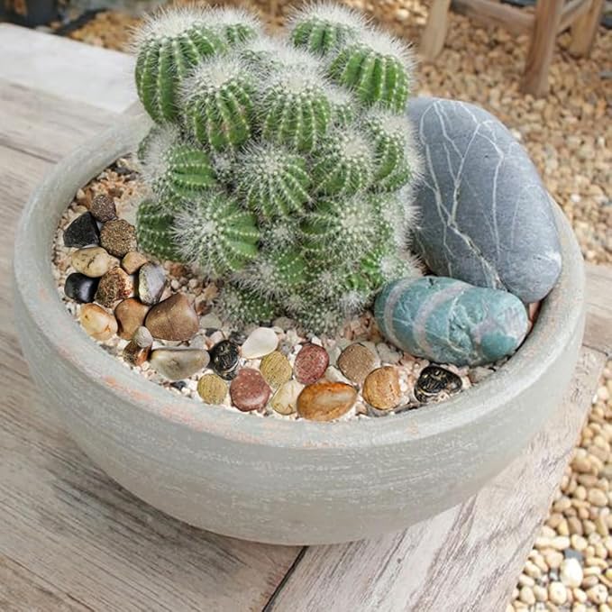 HappyFiller Decorative Natural Pebbles Polished Rocks Stones Mixed Color for Aquarium Gravel,Fish Turtle Tank,Outdoor Indoor Plants Top Dressing,Garden Landscaping,Home Vase Filler Decoration,2 LB