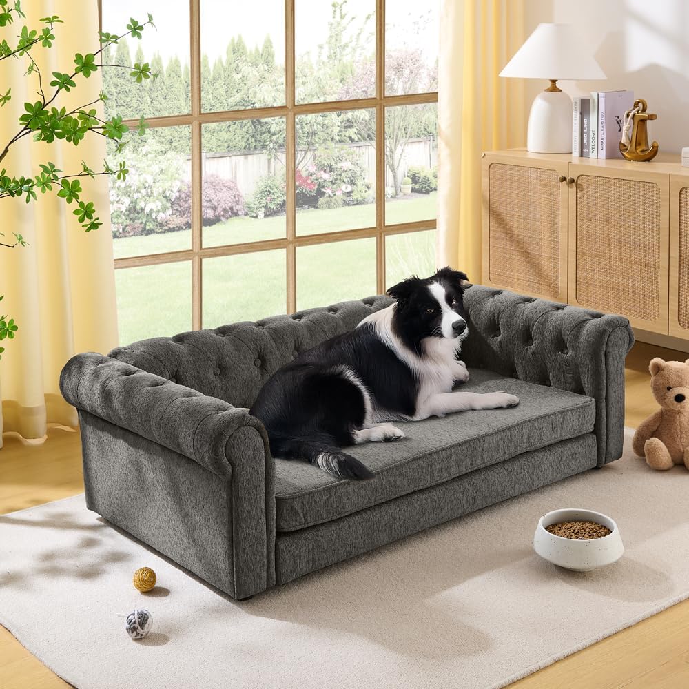 Dog Sofa Couch for Medium to Large Dogs, 55" Memory Foam Pet Sofa Couch with Washable Fabric, Durable Elevated Dog Bed with Legs, Removable Cushion for Medium and Large Dogs, Dark Grey