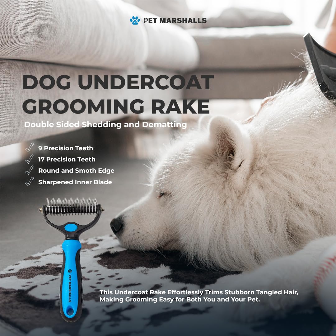 Pet Grooming Brushes Kit - 6-in-1 Complete Grooming Accessories for Deshedding, Detangling, and Dematting including Nail Clipper and File