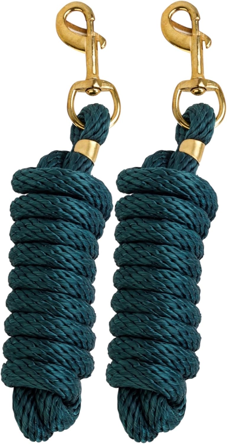 SIE (Pack of 2) Nylon 8ft Lead Ropes for Horse Halters (Hunter Green)