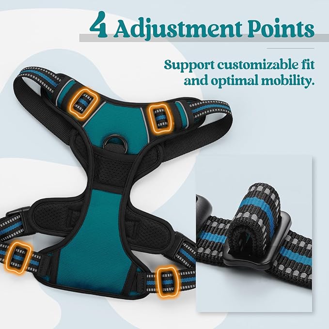 rabbitgoo Dog Harness No Pull with 2 Leash Clips, Adjustable Soft Padded, Reflective Oxford No Choke Pet Vest with Easy Control Handle for Large Dogs, Blue Coral, L