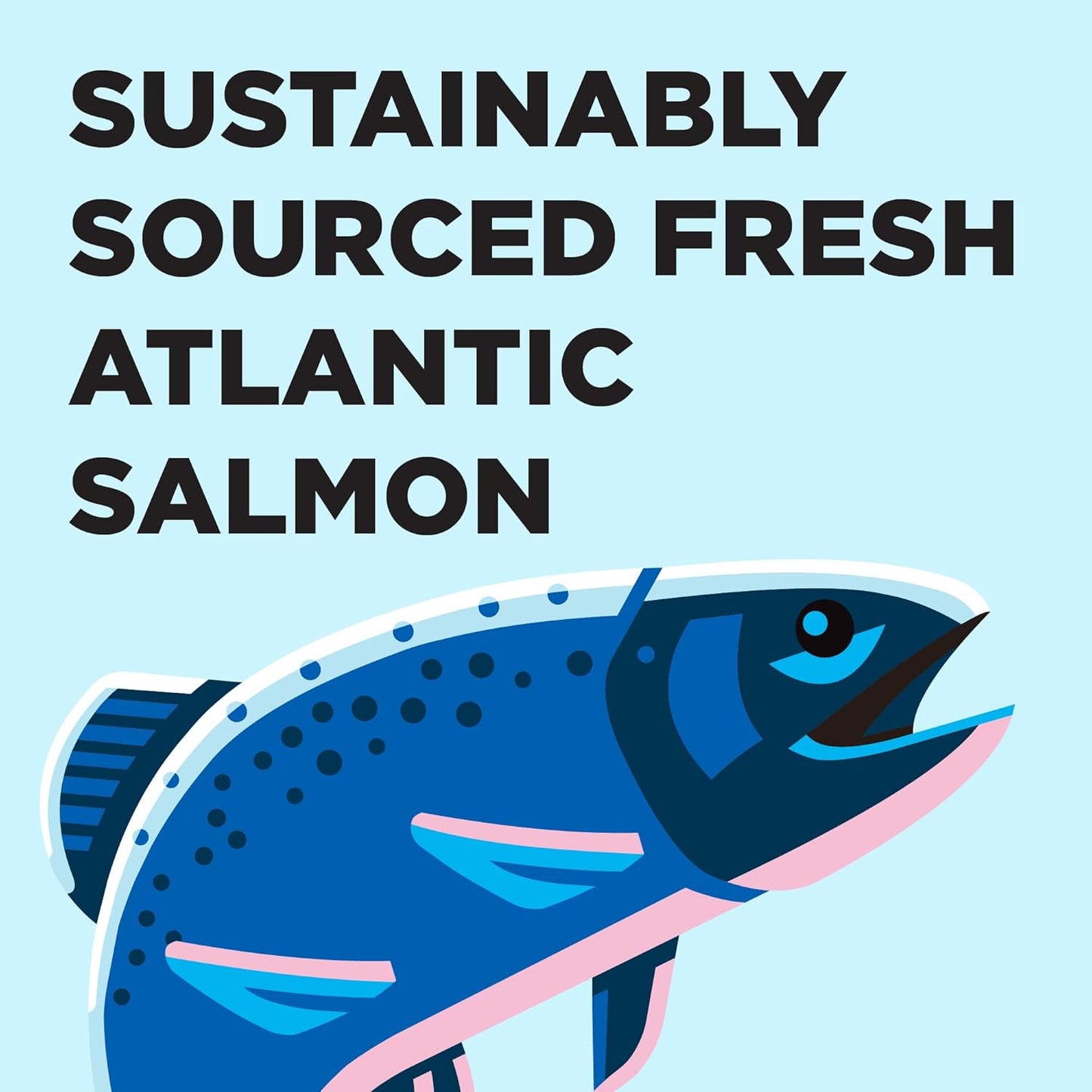 BIXBI Liberty Dry Food Salmon Recipe for Cats, 3lb