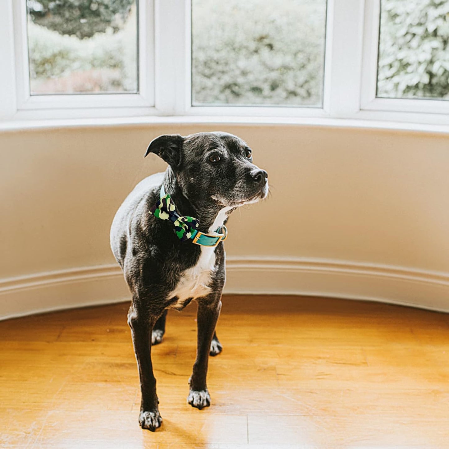 10 PCS Dogs Collar Elastic Attachment Bow Ties for Small Medium Large Pet/Cats Puppies Collar Charms Accessories Slides Bowties for Birthday Wedding Parties(Classic Small)