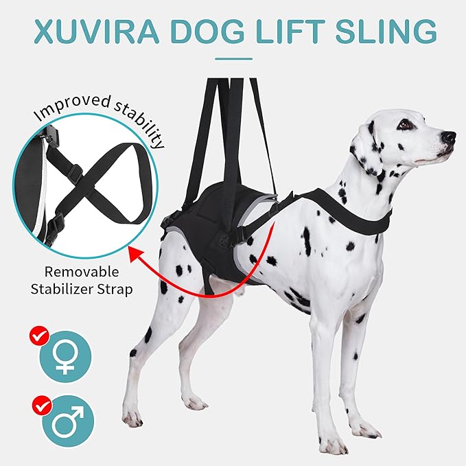 Dog Lift Harness for Large Dogs – Hind Leg Support Sling for Muscle Atrophy, Joint Pain, and Senior Pets, Adjustable Design Helps with Walking, Stairs, and Daily Mobility, L