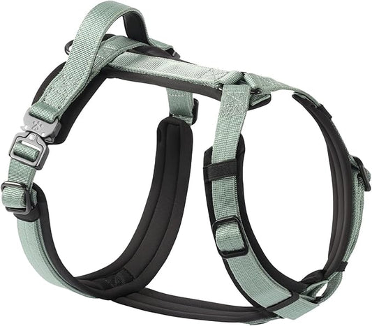 CLEPAWS Dog Harness for Large Dogs, No Pull Dog Harness Easy Walk with Metal Hardware, Ergonomic Y-Shaped Design, Soft Padding, Padded Handle, Durable High-Tensile Nylon (Seabreeze, L)