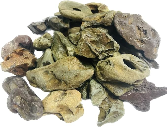 Natural Stone Aquarium Decoration 4.4 lb Dragon Stone Aquascaping Rock Mixed Sizes for Micro Landscape Fish Tank Decor