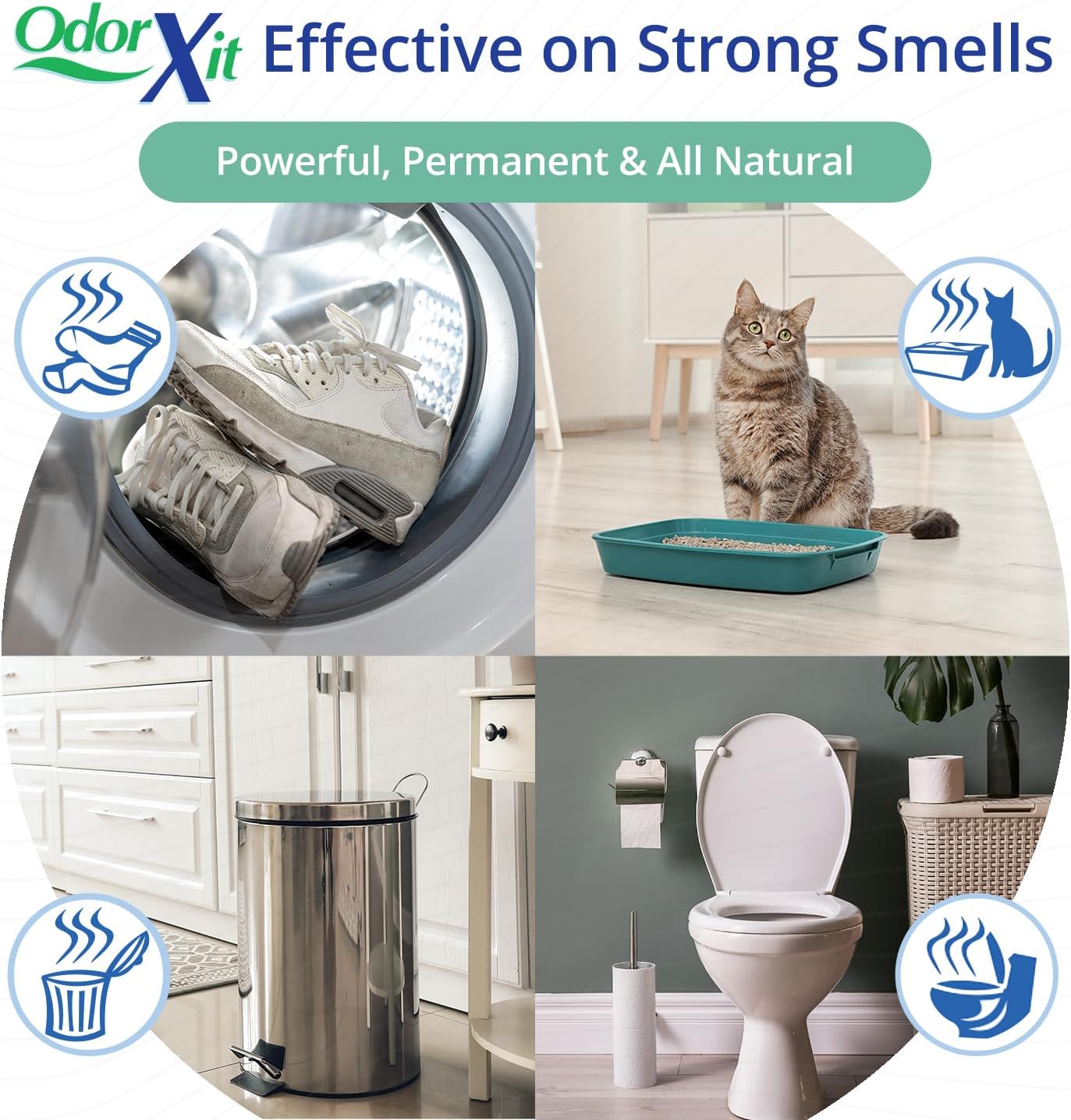 Concentrated Pet Urine Odor Eliminator, Ideal for Cat, Dog Poo and Urine Smell, Versatile & Natural Odor Neutralizer for Home and Outdoor Use, Deodorizer & Absorber, Concentrate, 16oz