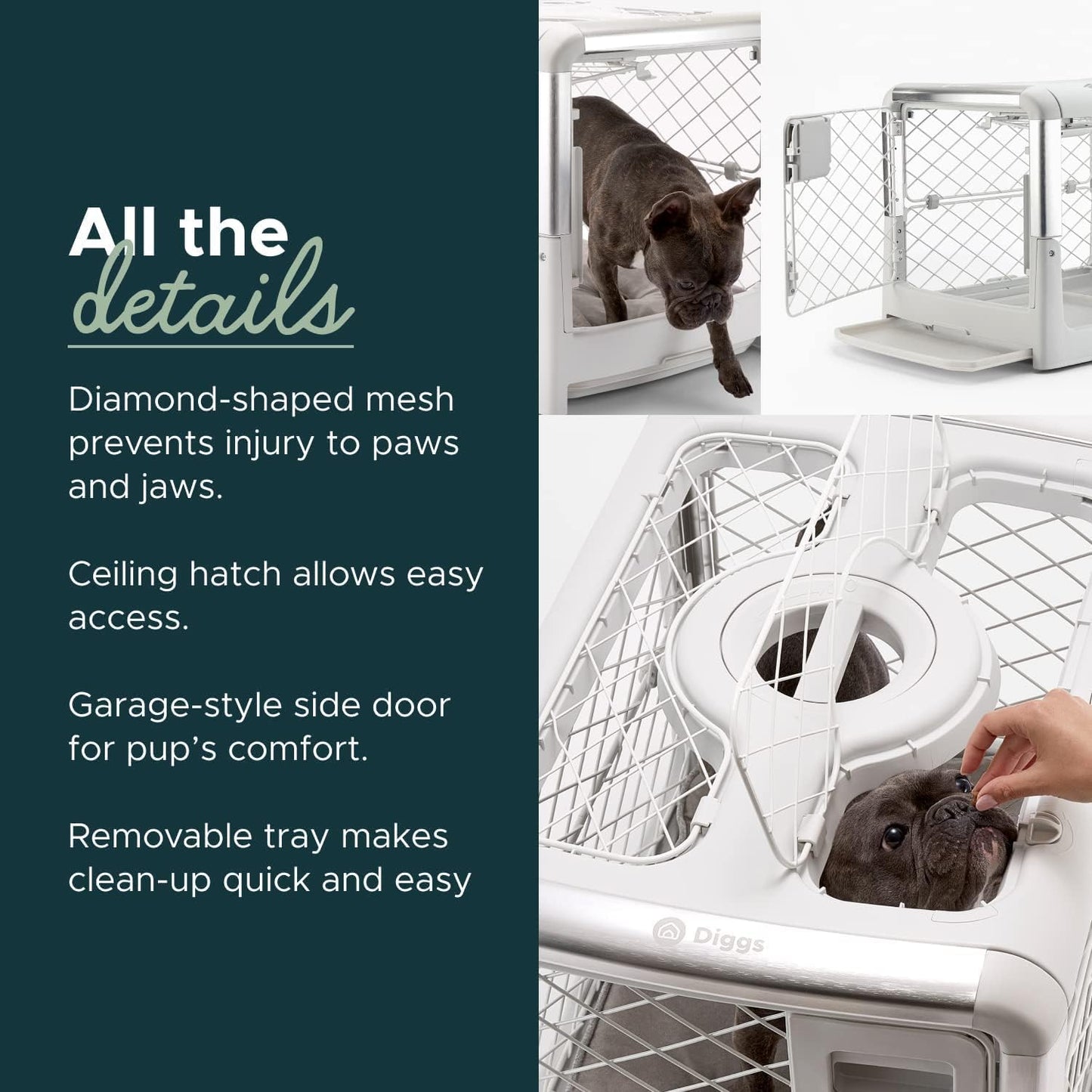 DIGGS Revol Collapsible Dog Crate with Wheels - Premium Portable Dog Crate - Safe, Stylish, and Convenient Indoor Kennel (Ash, Small)