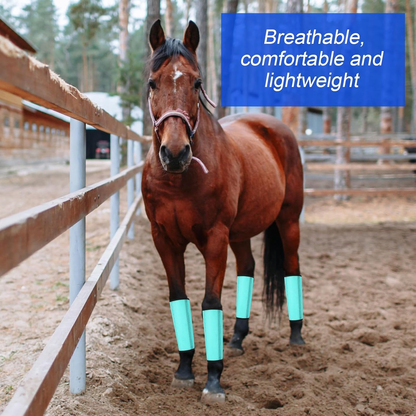 8 Pcs Mesh Fly Boots for Horse Breathable Mesh Horse Boots Protective Horse Leg Wraps Horse Leggings for Preventing Flies and Mosquitoes Bites (Light Pink, Dark Pink)