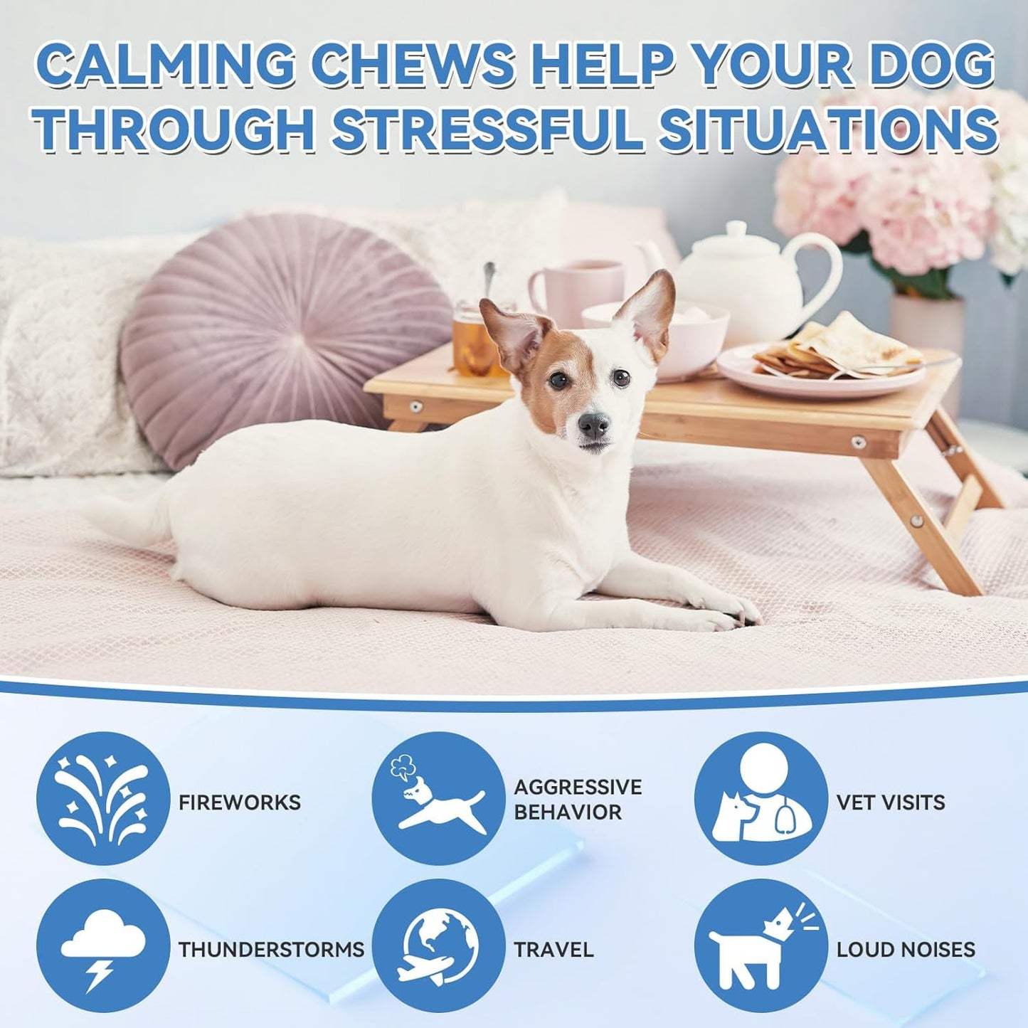 200 PCS Hemp Calming Chews for Dogs 200, Advanced Calming Treats for Dogs with Hemp Oil Melatonin Chamomile for Anxiety Relief, Separation, Stress Relief - Chicken Flavor