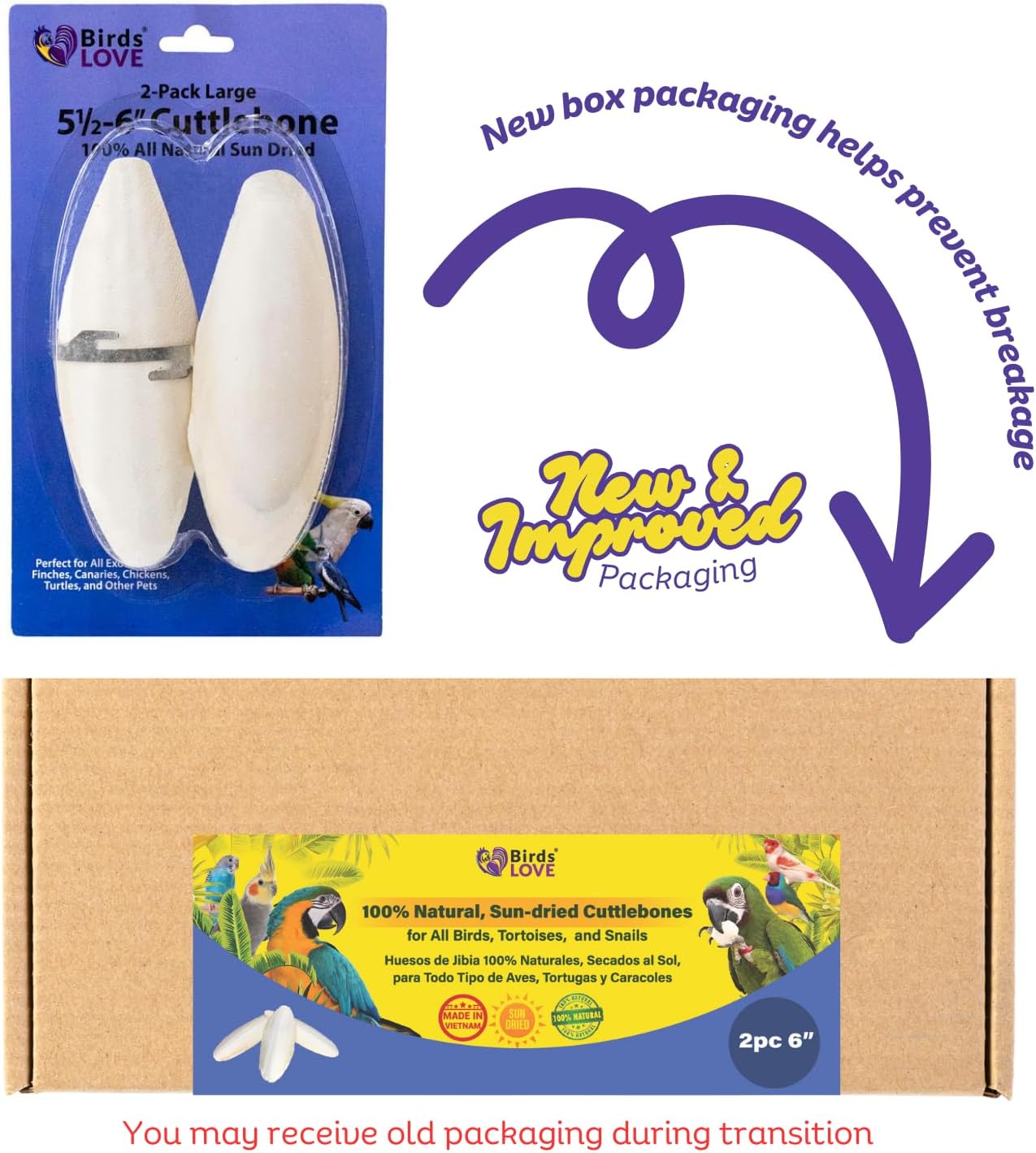 Birds LOVE Natural Cuttlebone | 100% Pure Sun-Dried Calcium Supplement for Birds, Tortoises, Snails & Crabs | Supports Beak & Shell Health | Easy to Chew | 2 Pack, Size 5.5 to 6"