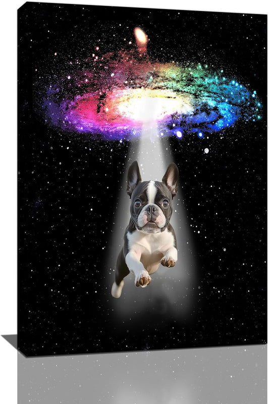 Funny Dog Wall Art Canvas Boston Terrier Wall Decor Prints Framed Painting Bulldog Galaxy Pictures Gifts Artwork for Bathroom 16"x24"