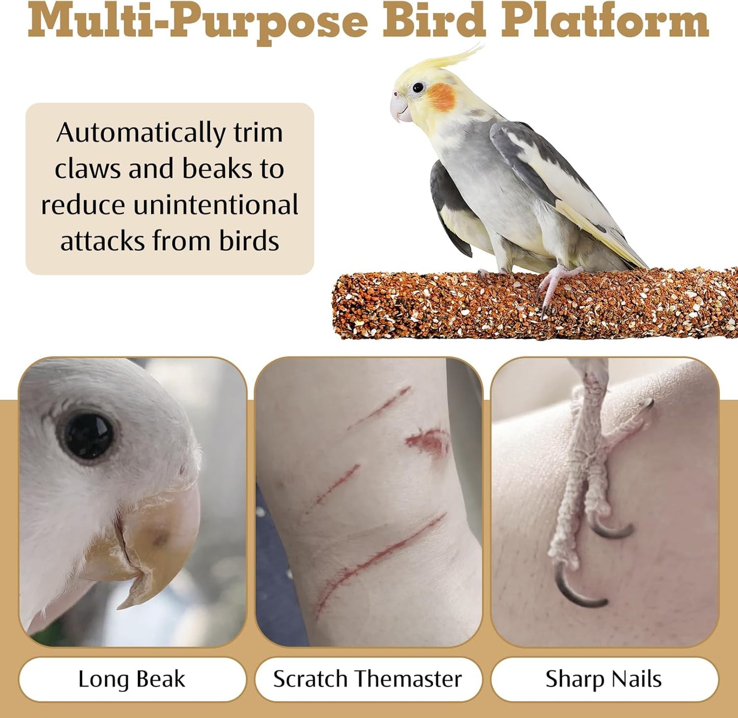 PINVNBY 4 PCS Natural Bird Perches Bird Grinding Stick Calcium Mineral Parrot Perch Stand Foot Claws Trimmer Chew Toy Bird Cage Accessories for Small Medium Budgie Cockatiel Conure Lovebird