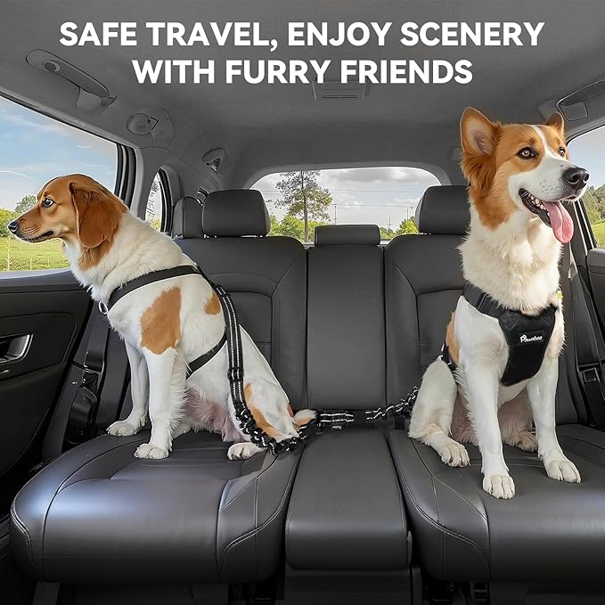 Pawaboo 2Pack Dog Seatbelt for Car, 3-in-1 Dog Car Seat Belt Bungee,Shockproof Dogs Tether for Car with Buckle & Hook Latch, Adjustable Reflective Dog Car Harness Leash with 360° Lockable Buckle,Black