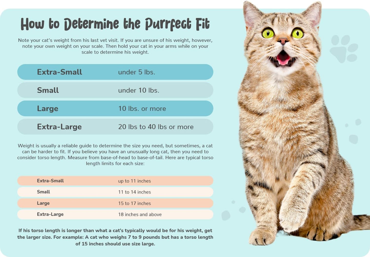 Cozy Comfort Carrier - Large Light Blue Cat Carrier and Cat Restraint Bag for Medication Administration, Grooming, Vet Visits, Dental Care, and Nail Trimming