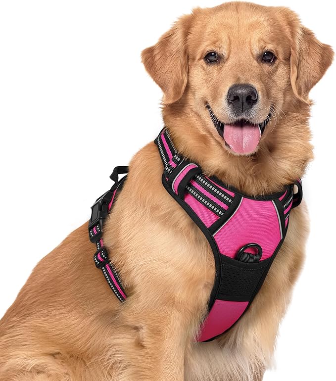 rabbitgoo Dog Harness No Pull with 2 Leash Clips, Adjustable Soft Padded, Reflective Oxford No Choke Pet Vest with Easy Control Handle for Large Dogs, Hot Pink, XL