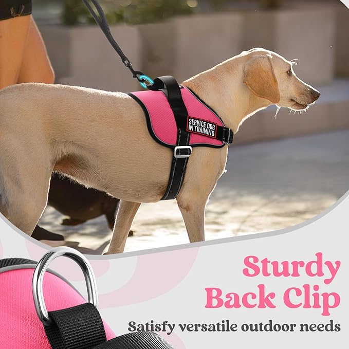 rabbitgoo Dog Harness Medium Sized, Easy On Pet Vest with One Buckle, No Pull Adjustable Service Harness with D-Ring & Handle, Reflective for Safety Walking, Training, Pink, M